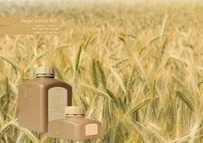 رگال امینو 800 اسید امینه گیاهی 95 درصد | تقویتکننده طبیعی برای محصولات کشاورزی و گلدانهای خانگی