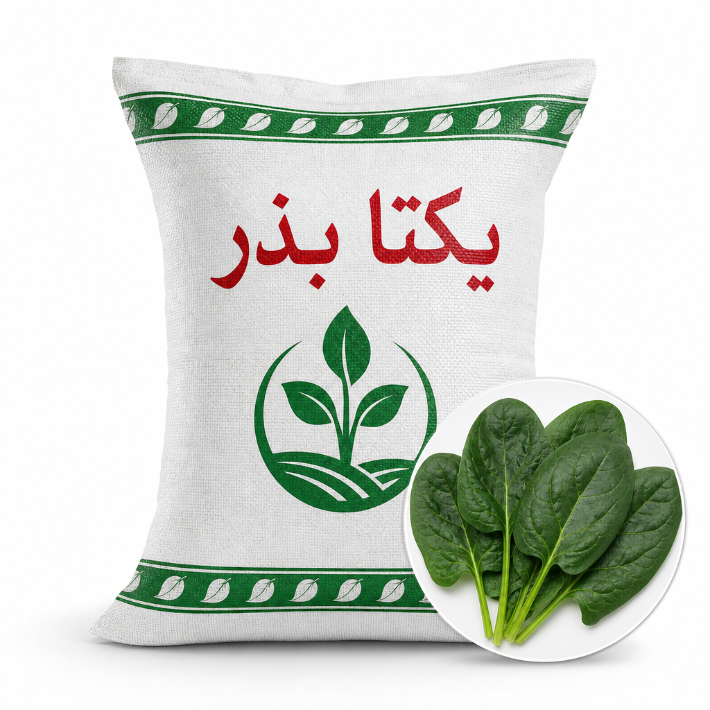 اسفناج ویروفلای | بذر اسفناج Viroflay