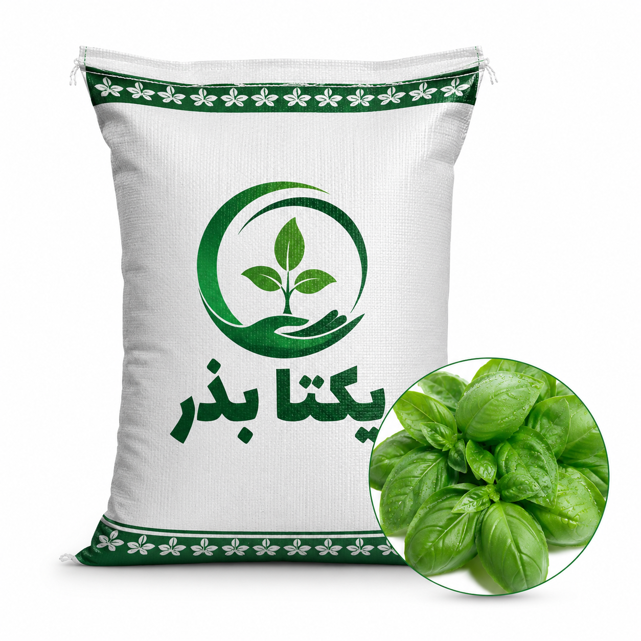 ریحان سبز قمصر | بذر ریحان سبز قمصر